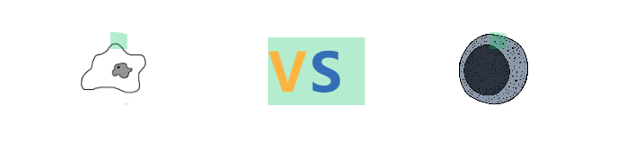 ç§æ® | å¹²ç»è VS å
ç«ç»èï¼çå½åçåéä¿é